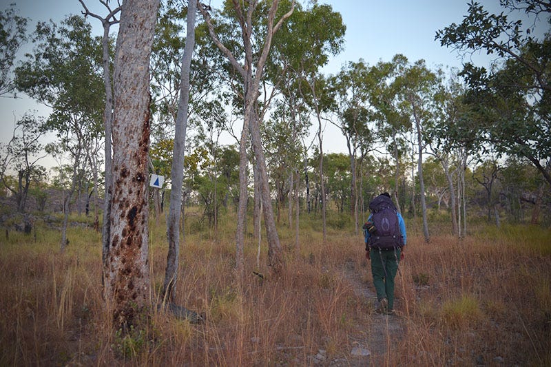 A woman in a backpack walks through a trail in Outback Australia.