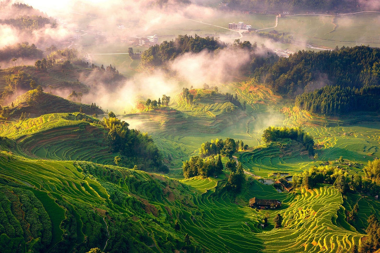 UN designates four Chinese farmlands as agricultural heritage sites