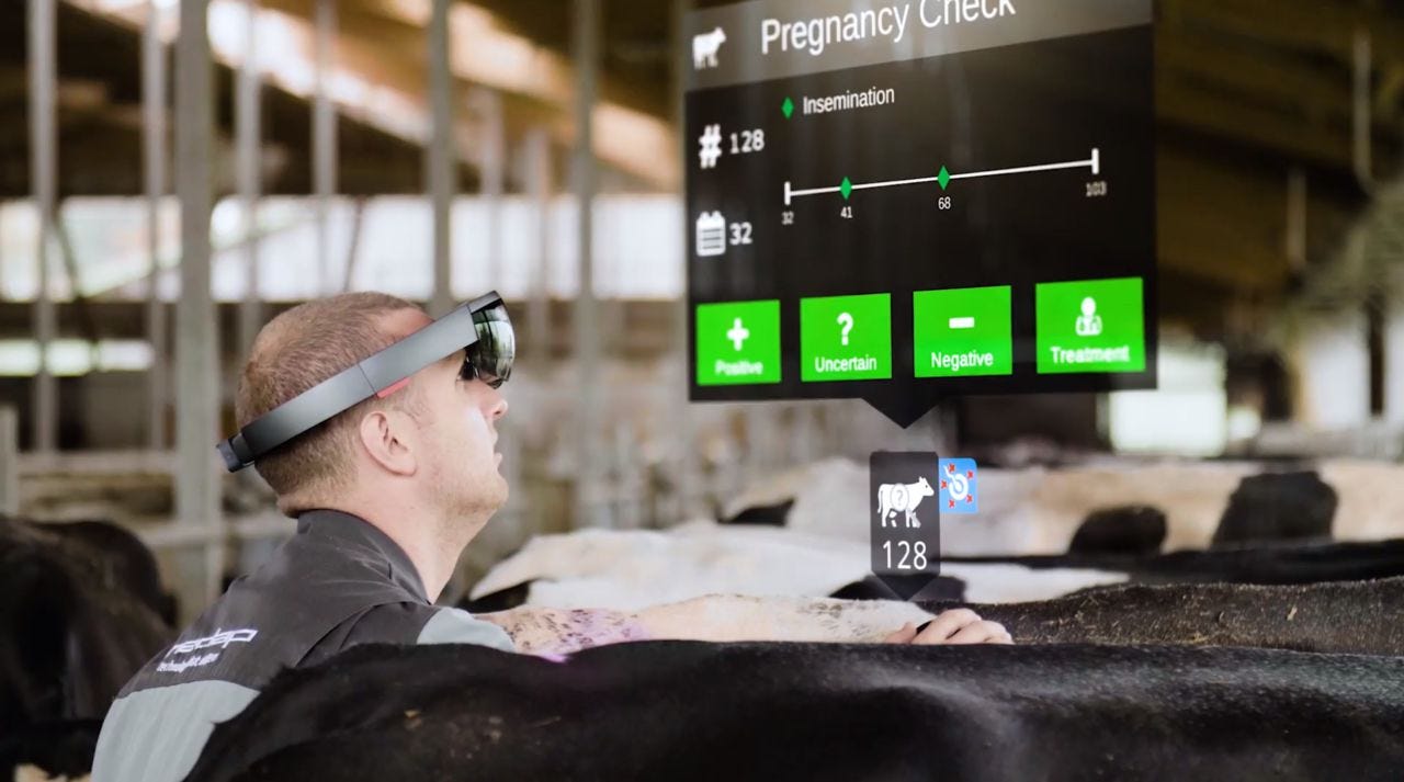Augmented reality simplifies farm data by bringing it to life - Nedap  Livestock Management