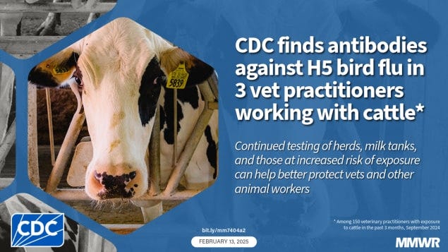 The image shows a cow on a farm with text that reads, “CDC finds antibodies against H5 bird flu in 3 vet practitioners working with cattle.”