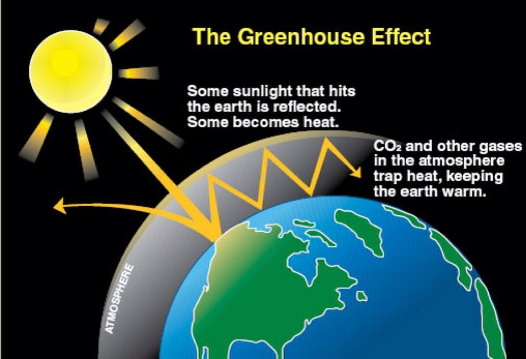 Greenhouse Effect: Advantages and Disadvantages | by TutorBin | Medium