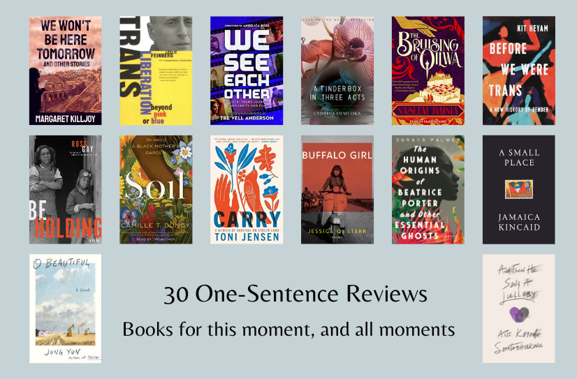 Small cover images of 14 of the listed books, above the text ‘30 One-Sentence Reviews: Books for this moment, and all moments’.
