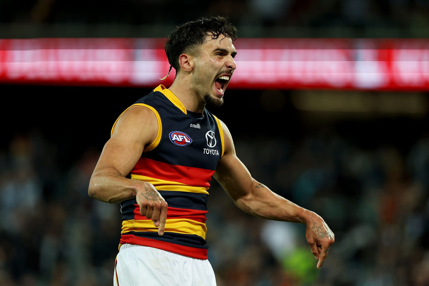 Reflections: Rankine's first year as a Crow