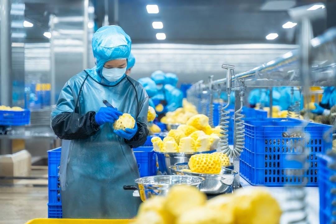 蜜雪冰城：从枝头到舌尖，链接甜蜜产业链