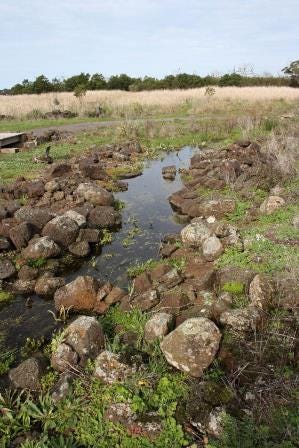 Example of Aboriginal Engineering Feat of Budj Bim