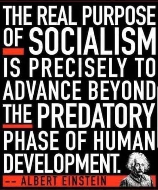 May be a graphic of 1 person and text that says 'THE REAL PURPOSE OF SOCIALISM IS PRECISELY TO ADVANCE BEYOND THE PREDATORY PHASE OF HUMAN DEVELOPMENT. ALBERT EINSTEIN'