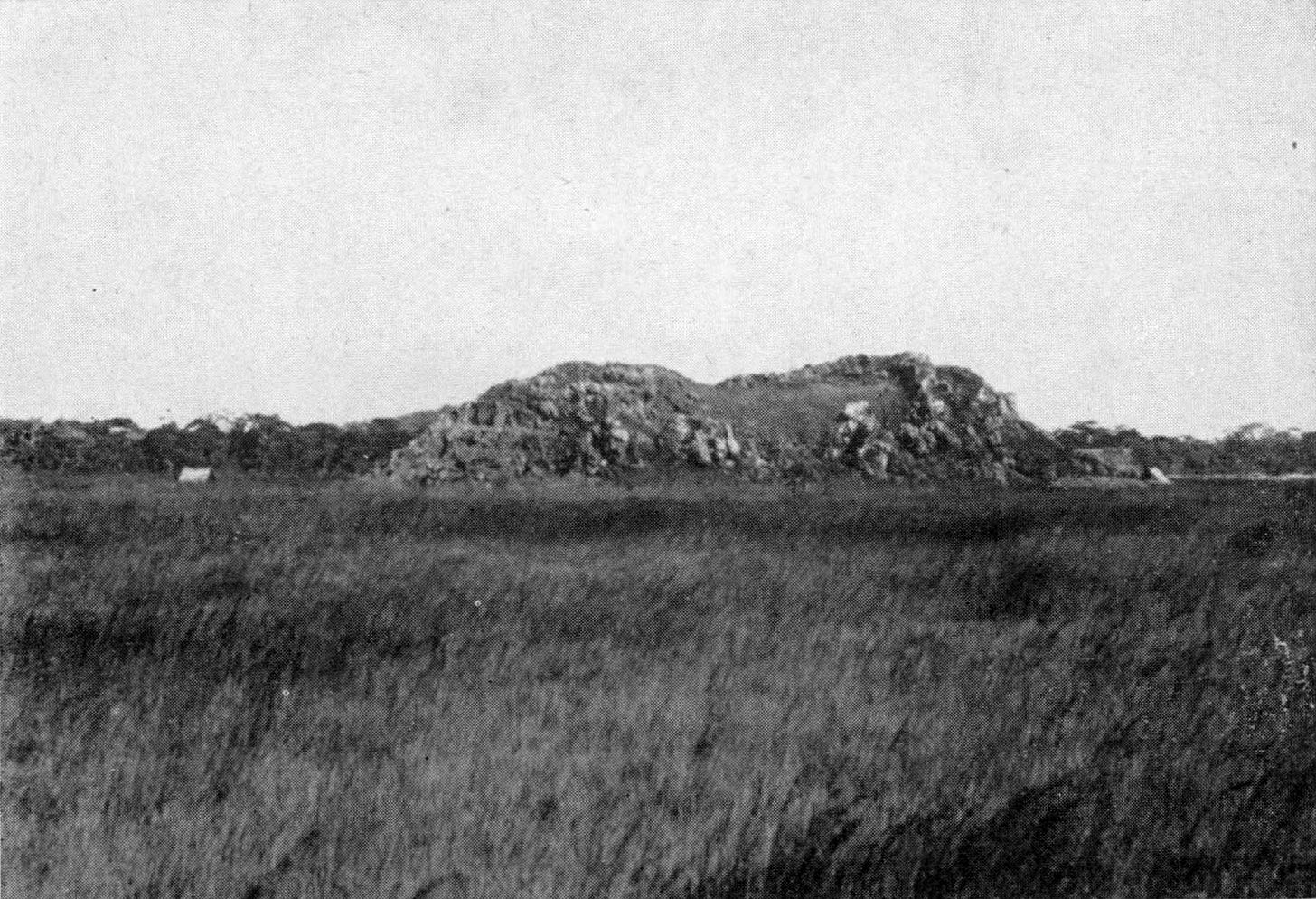 A hill with two peaks and an indented center, surrounded by low thick grassland and trees in the far background. A hill with two peaks and an indented center, surrounded by low thick grassland and trees in the far background.