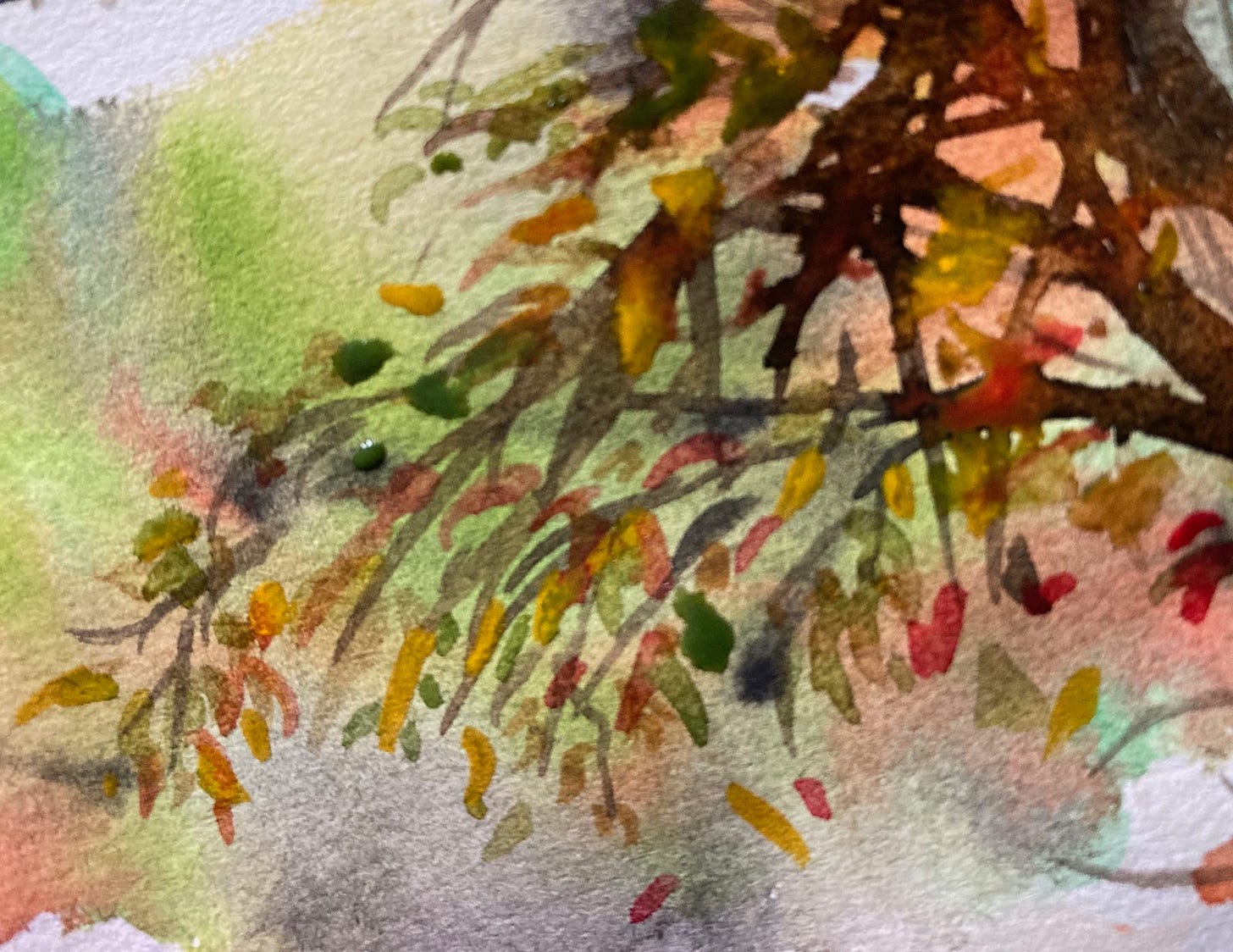 Loose watercolour of autumn leaves on tangled branches, a feast of gold, green and scarlet