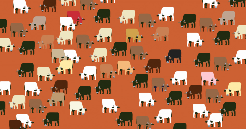 Cow Protection