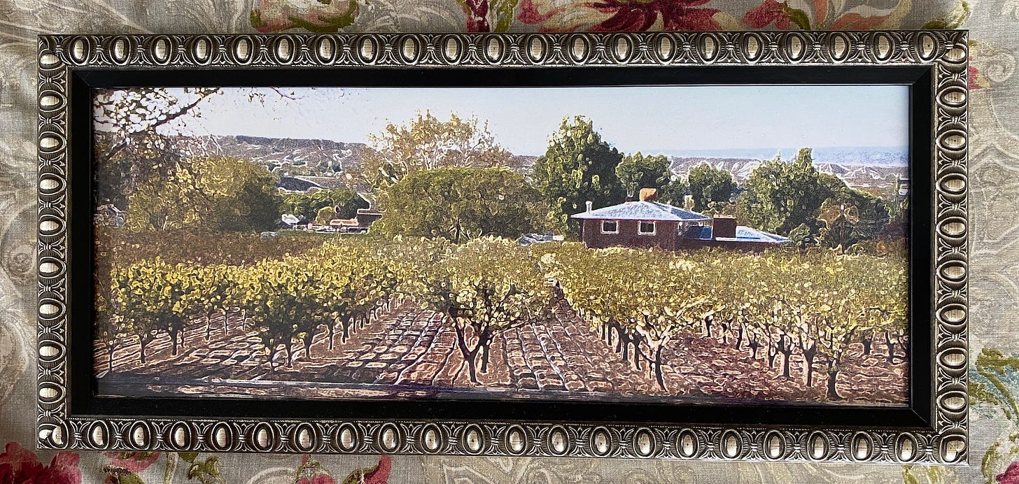 a photo of a framed print, stylized posterized print of our tree-full orchard on watering day circa 2001