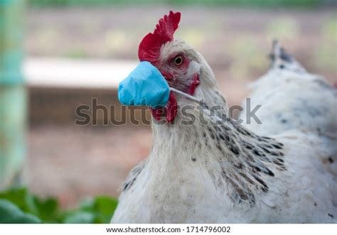 5,611 Chicken Mask Images, Stock Photos & Vectors | Shutterstock