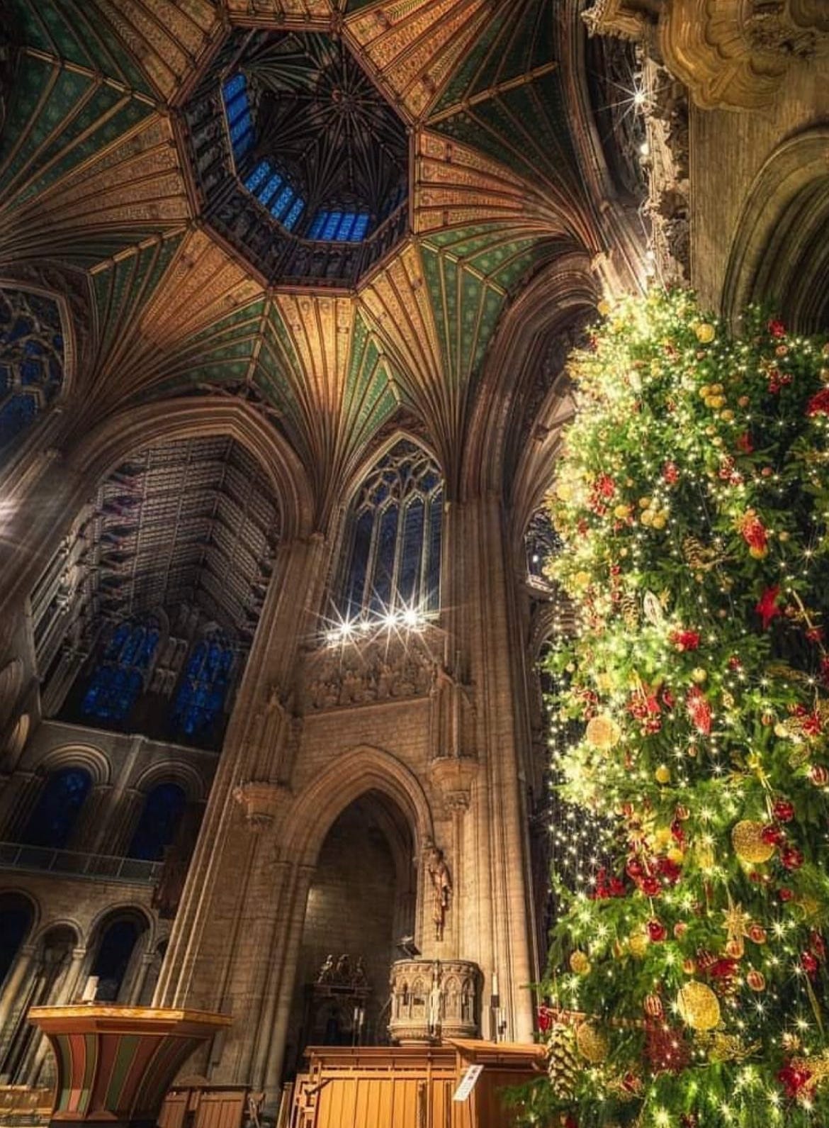 Ely Cathedral at Christmas. Photo from Ely Cathedral.org