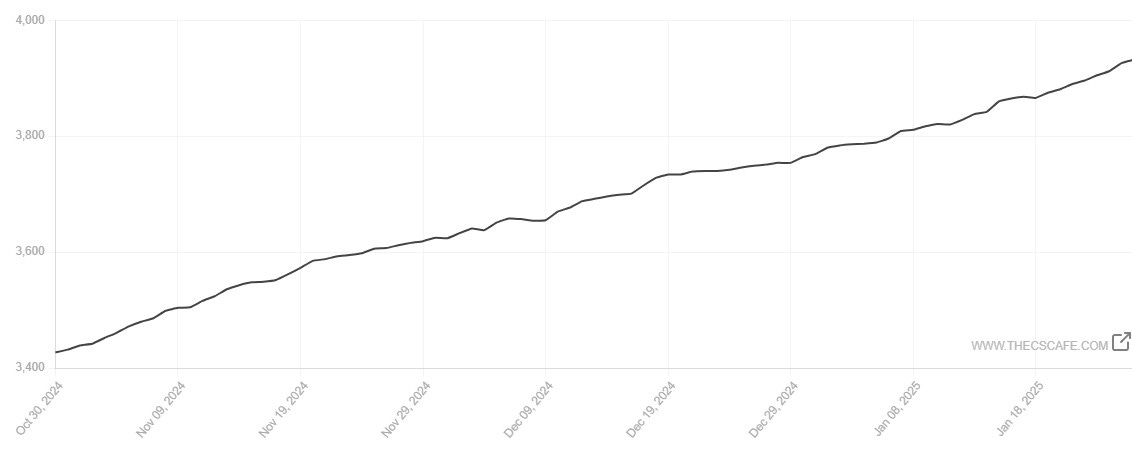 Line graph showing steady subscriber growth for The CS Café newsletter from October 2024 to January 2025. The graph starts at approximately 3,400 subscribers and shows consistent upward growth to nearly 4,000 subscribers, with a steeper increase in January 2025.