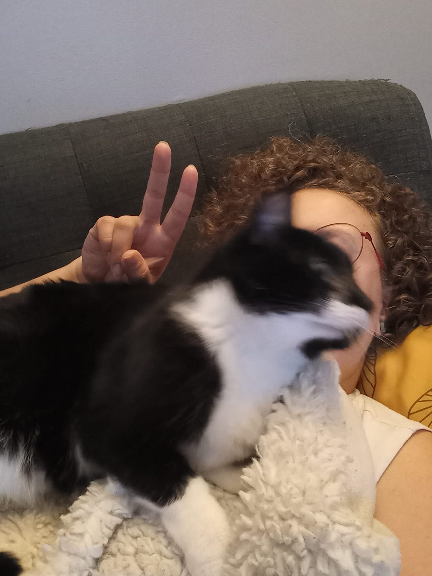 Tuxedo cat Dooty in a blur as she rolls around on Alyssa's lap on the couch