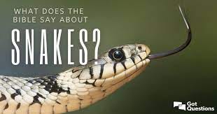 What does the Bible say about snakes? Are snakes evil? | GotQuestions.org