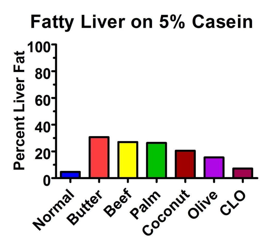 Fat causes fatty liver disease when the diet is low in protein.