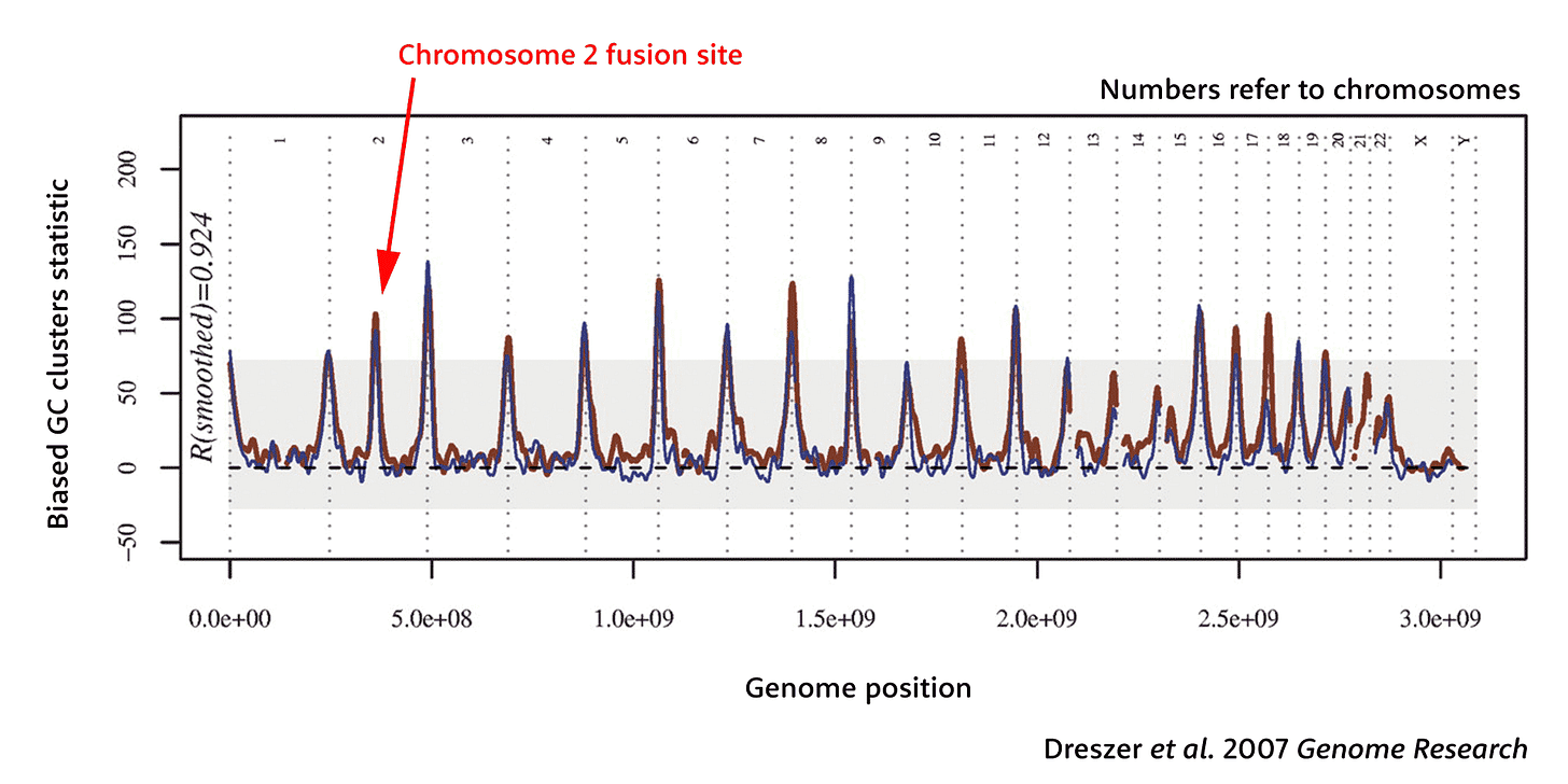 A chart with genome position at the X axis and the statistic value on the Y axis, and a peak at the border of each chromosome, with an extra peak for chromosome 2 A chart with genome position at the X axis and the statistic value on the Y axis, and a peak at the border of each chromosome, with an extra peak for chromosome 2