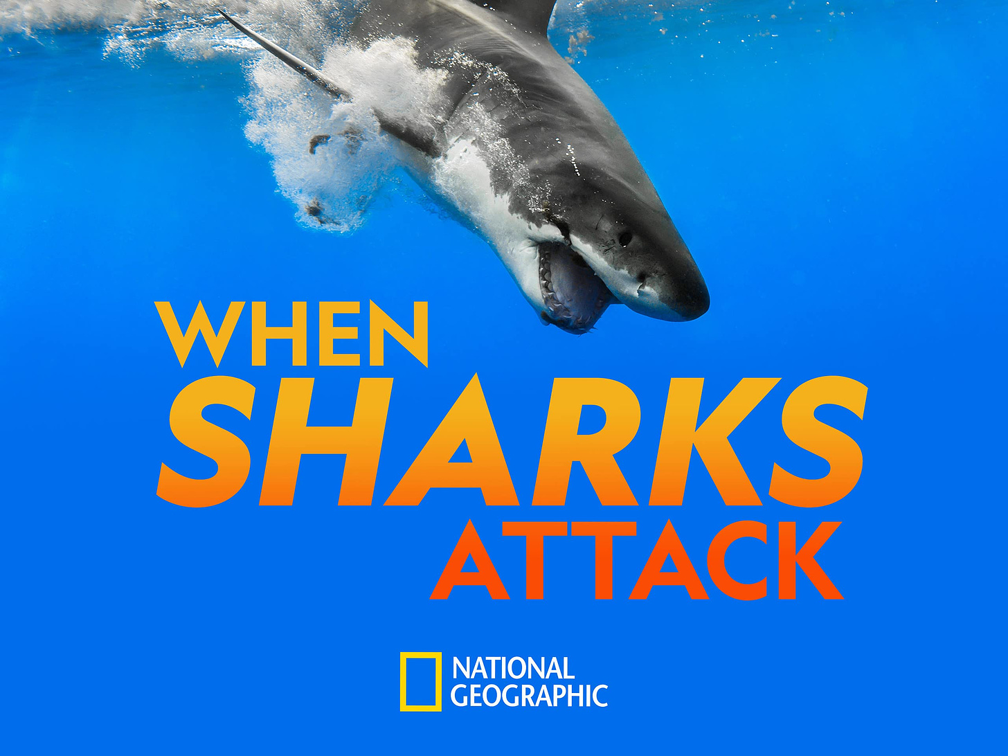 When Sharks Attack (TV Series 2013–2022) - IMDb