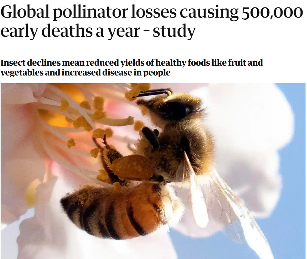 Headline from The Guardian states, "Global pollinator losses causing 500,000 early deaths a year - study"