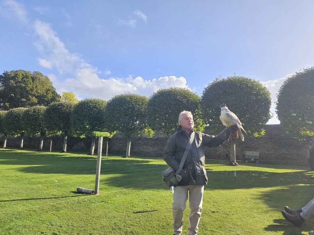 The falconer demonstrates how the trained hawks and falcons chase and capture their prey