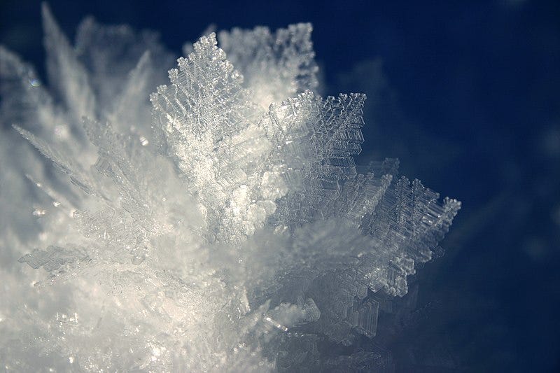 Close-up of the crystal "petals" of an ice flower, showing their fern-like fractal nature.