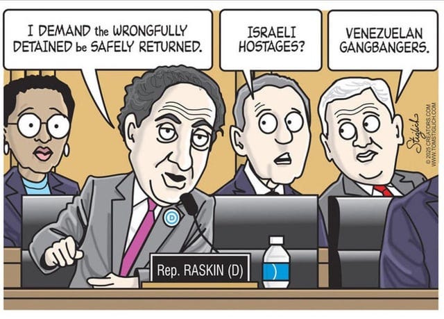 r/ConservativeMemes - Raskin is apparently running for the highly coveted title of Dumbest member of Congress, currently held in a tie by no less than 3-5 other democrats. Can you name them?