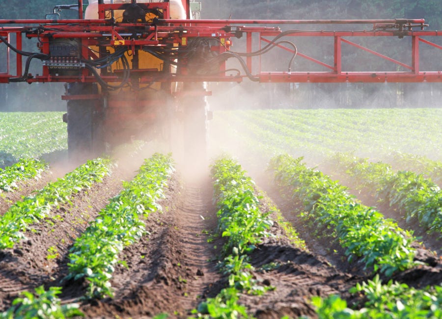 multiple rows of lettuce being sprayed by huge machine doing down rows