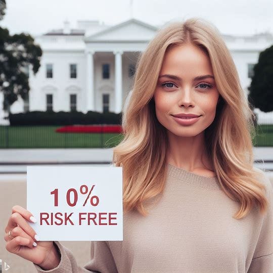 a 30-year old pretty blond girl holding a sign that says '10% risk free' in front of the White House