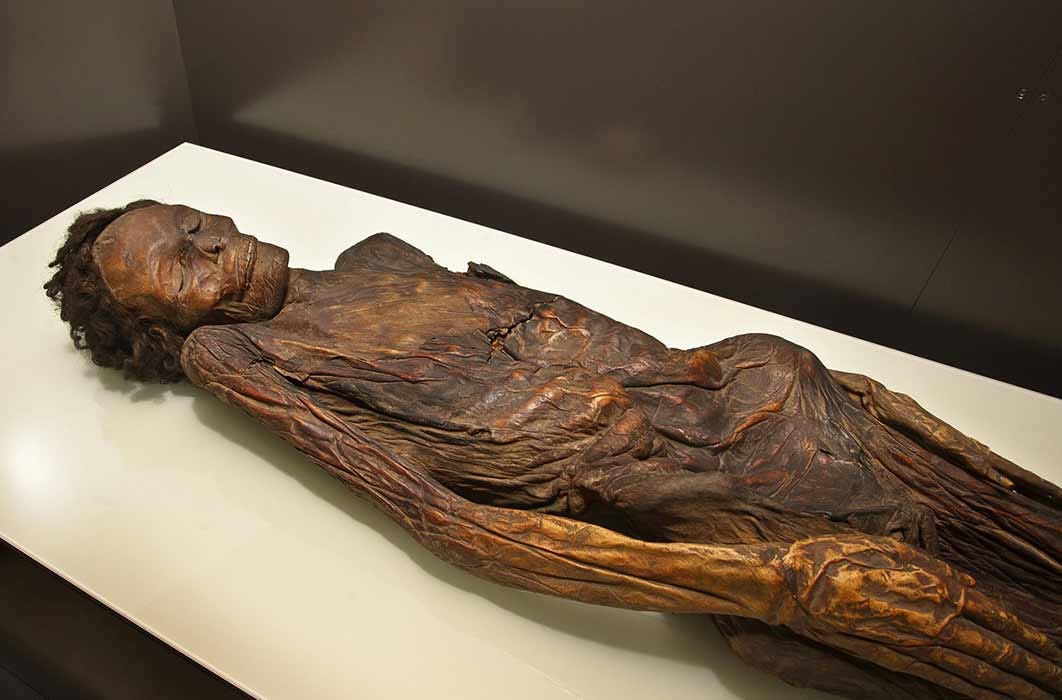 The Guanche mummy from Barranco de Herques belonged to an adult male aged around 35-40 years old. 
