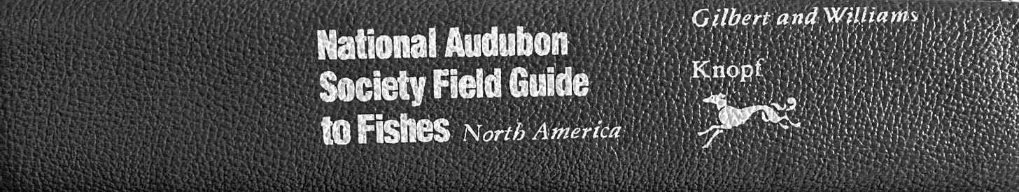 National Audubon Society Field Guide to Fishes, North America