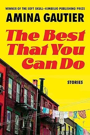 The Best That You Can Do by Amina Gautier