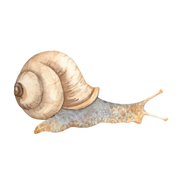 Premium Photo | Watercolor snail on white background animal illustration  for postcards posters textile design