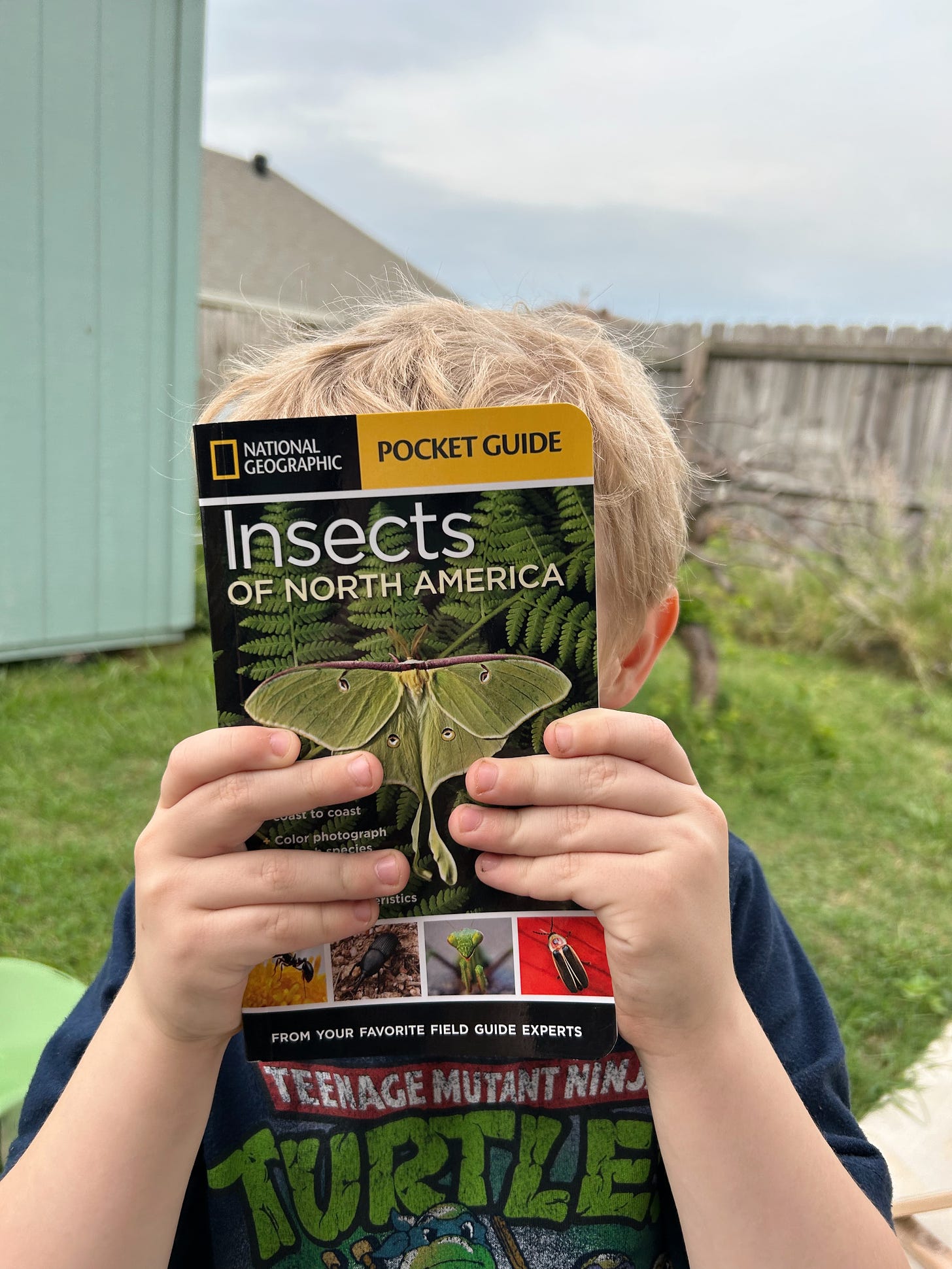 2024-08-13-Home-Ed-Insects-Guide.jpeg