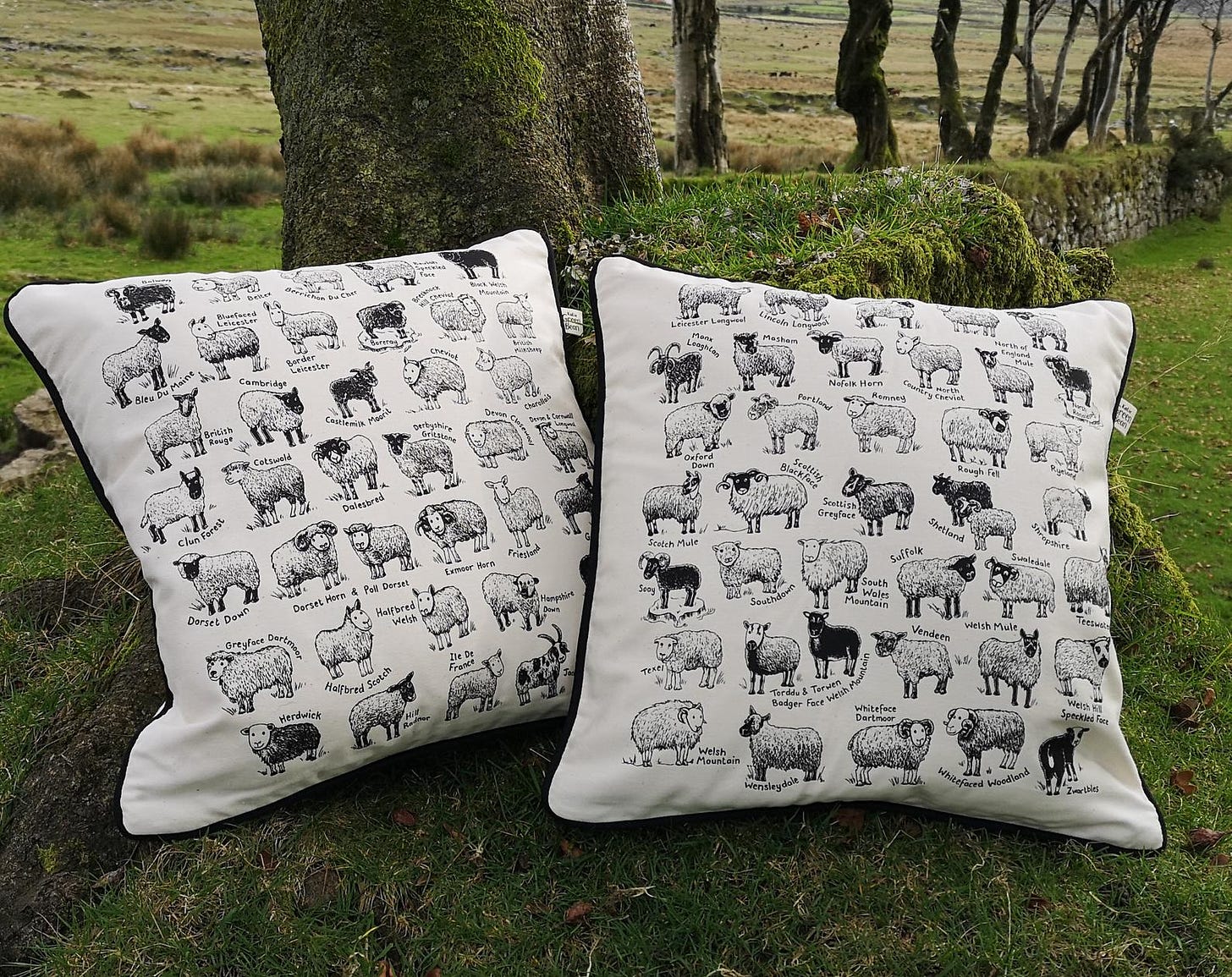 Two cushions sit side by side on a grassy bank at the foot of a tree. The cushions are cream with black piping, and black illustrations of sheep arranged in alphabetical order by breed.