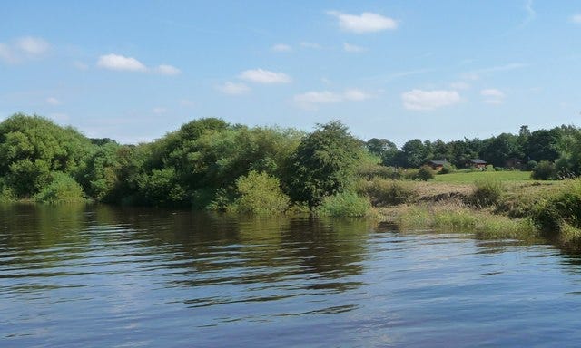 South bank, River Ouse, at Moreby Ings
