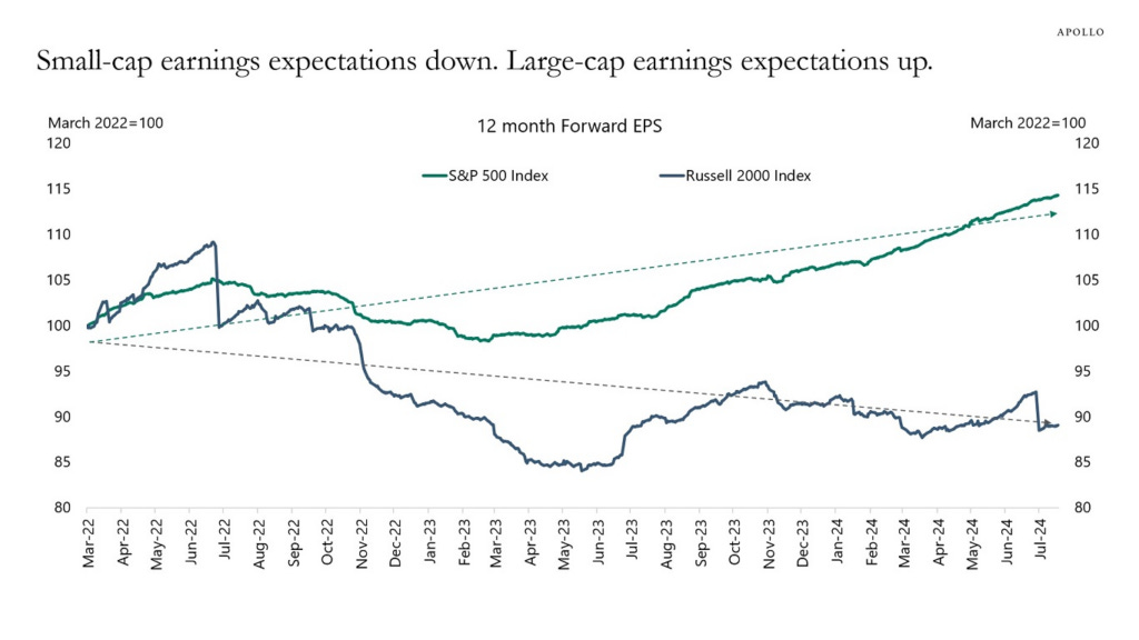 Small cap vs large cap earnings expectations.