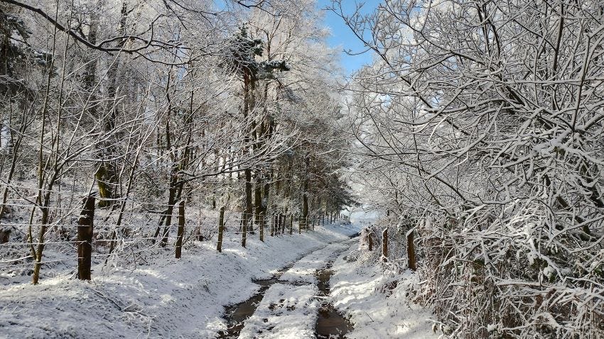 Paisaje nevado en el Camino Primitivo en Berducedo