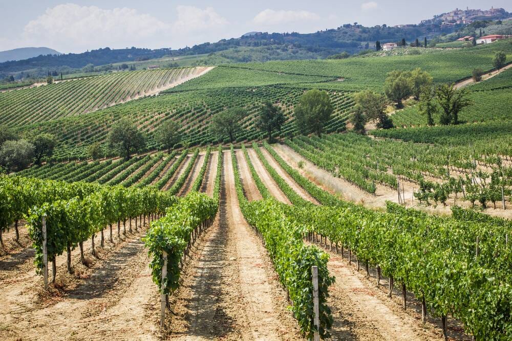 Plan your 2025 wine trip to Montepulciano wine region | WineTourism.com