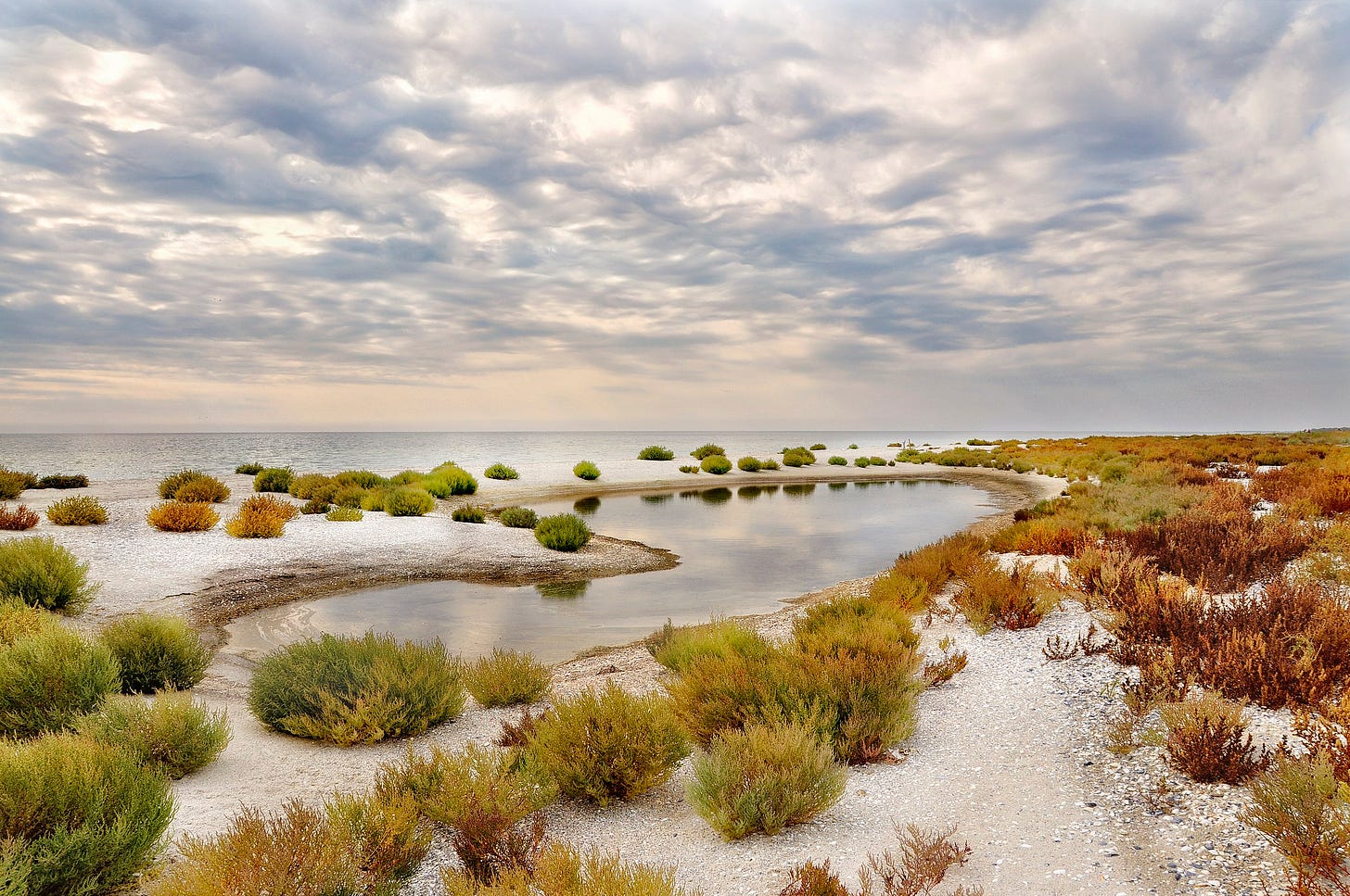 The Kinburn Spit in autumn