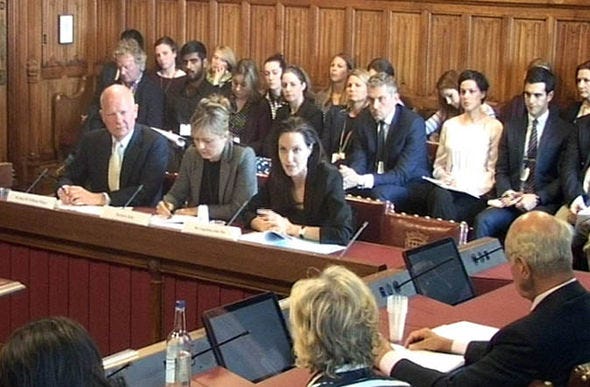 angelina jolie house of lords