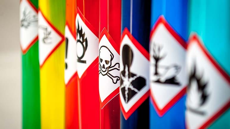 the wild world of chemical exposure