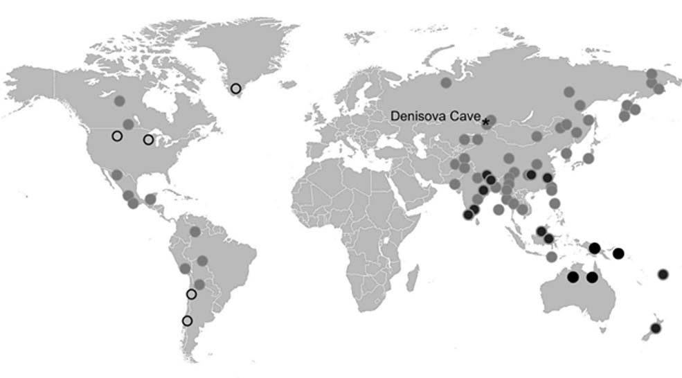 Map showing the distribution of Denisovan DNA in modern populations based on the Altaic Denisovan genome (after Sankararaman et al 2016). Black circles 3-5 %. Grey circles with black rings 2-3 %. Grey circles 1-2 &. Values are approximate only. Black rings indicate locations of more recent discoveries of Denisovan ancestry (Image: Courtesy of Author). Map showing the distribution of Denisovan DNA in modern populations based on the Altaic Denisovan genome (after Sankararaman et al 2016). Black circles 3-5 %. Grey circles with black rings 2-3 %. Grey circles 1-2 &. Values are approximate only. Black rings indicate locations of more recent discoveries of Denisovan ancestry (Image: Courtesy of Author).