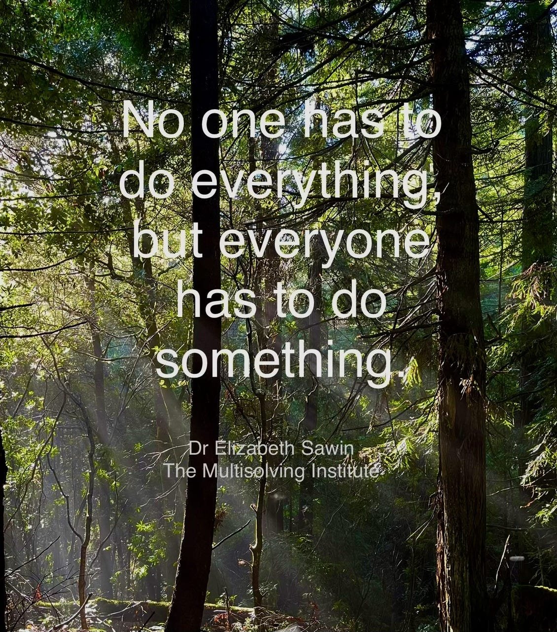 redwood forest with quote from Elizabeth Sawin