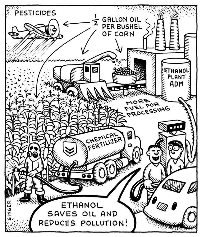 Andy Singer cartoon about corn
