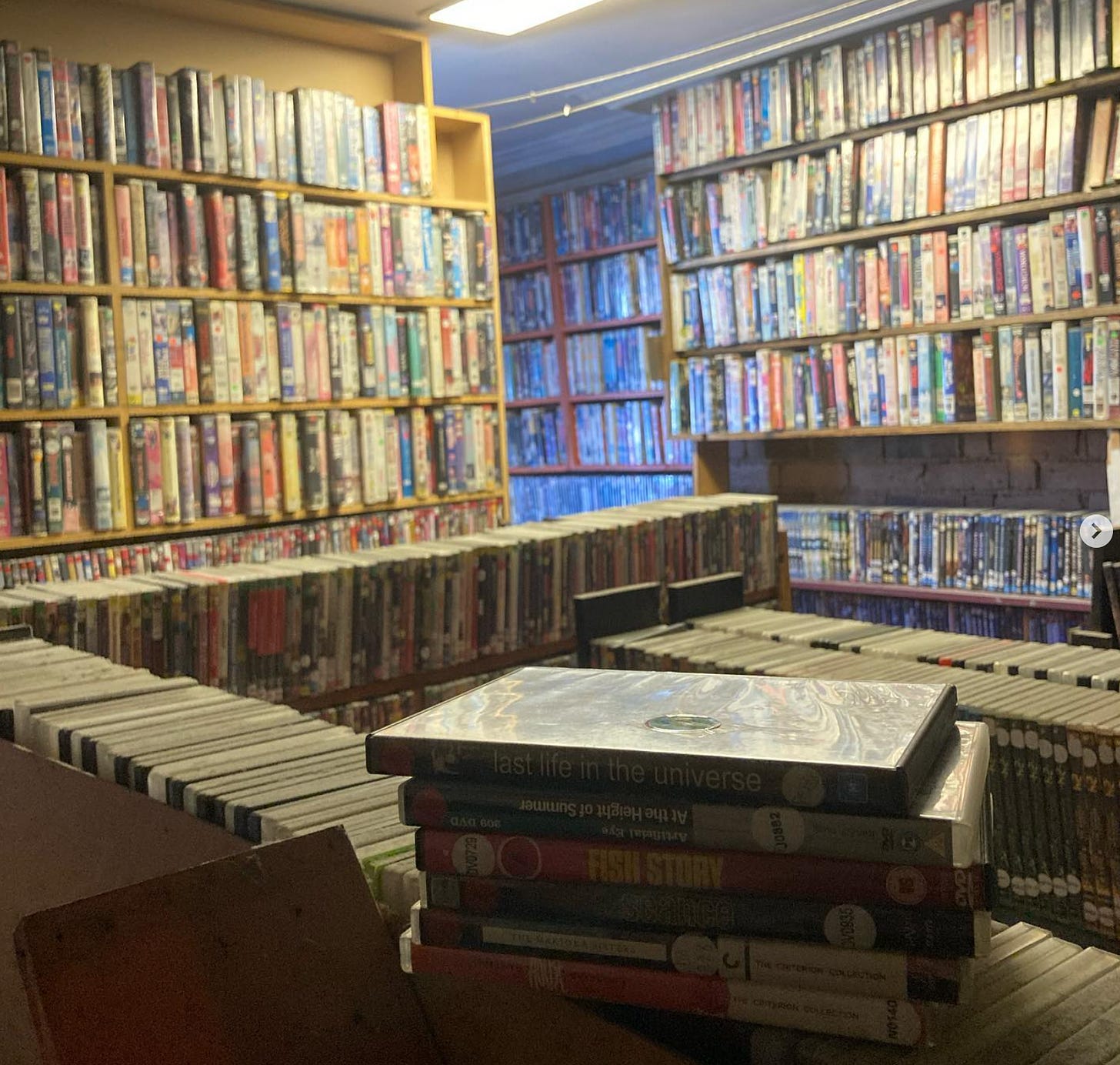 Shelves of DVDs