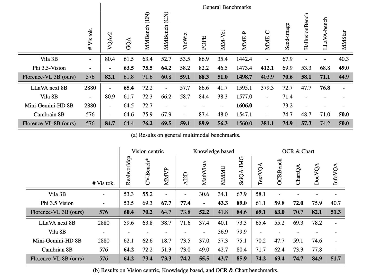 Florence-VL Results