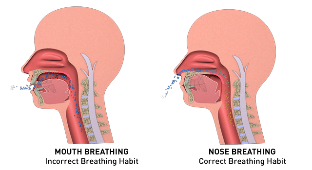 Mouth breathing vs Nasal breathing