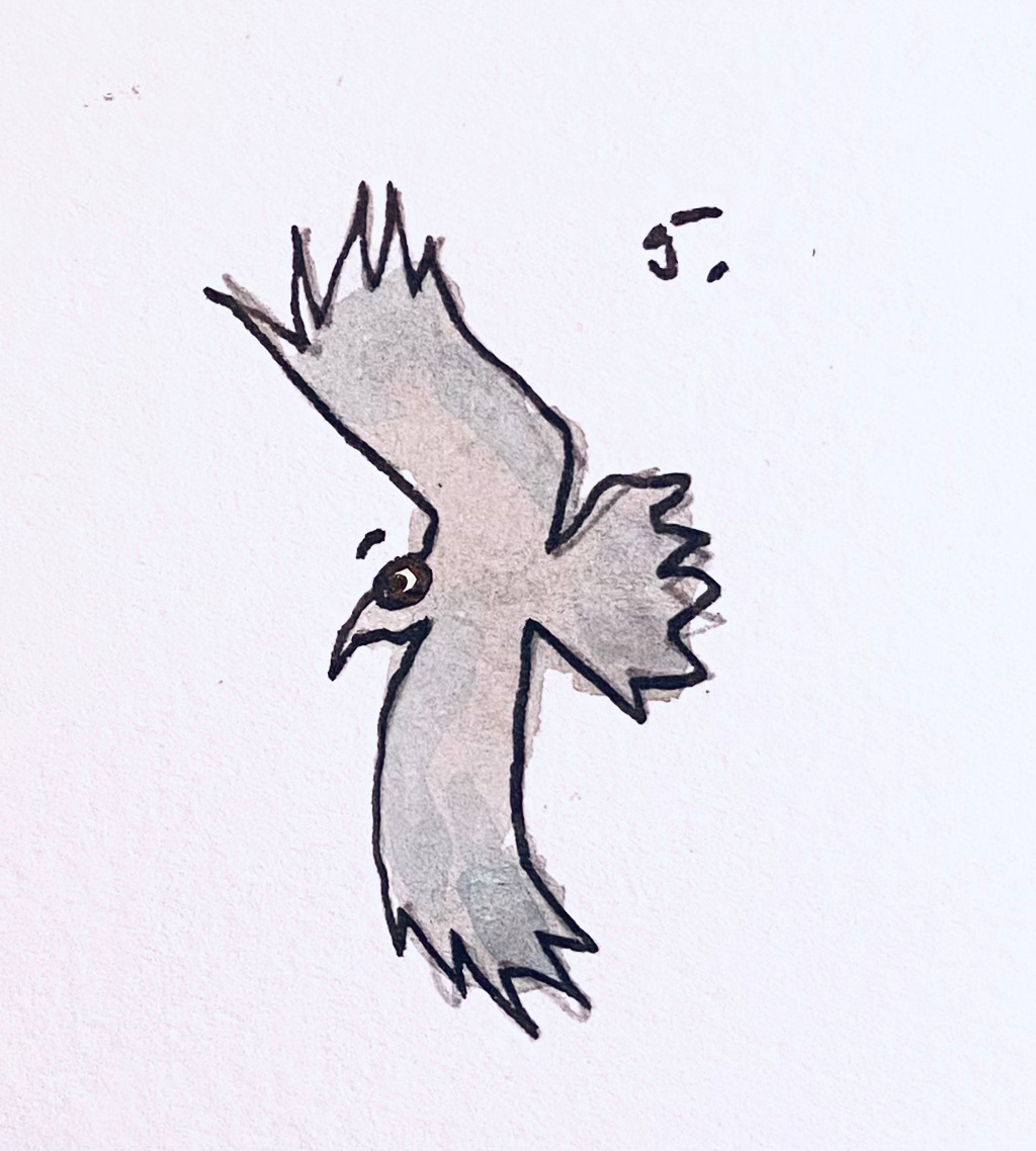thirteen ways of looking at a blackbird wallace stevens