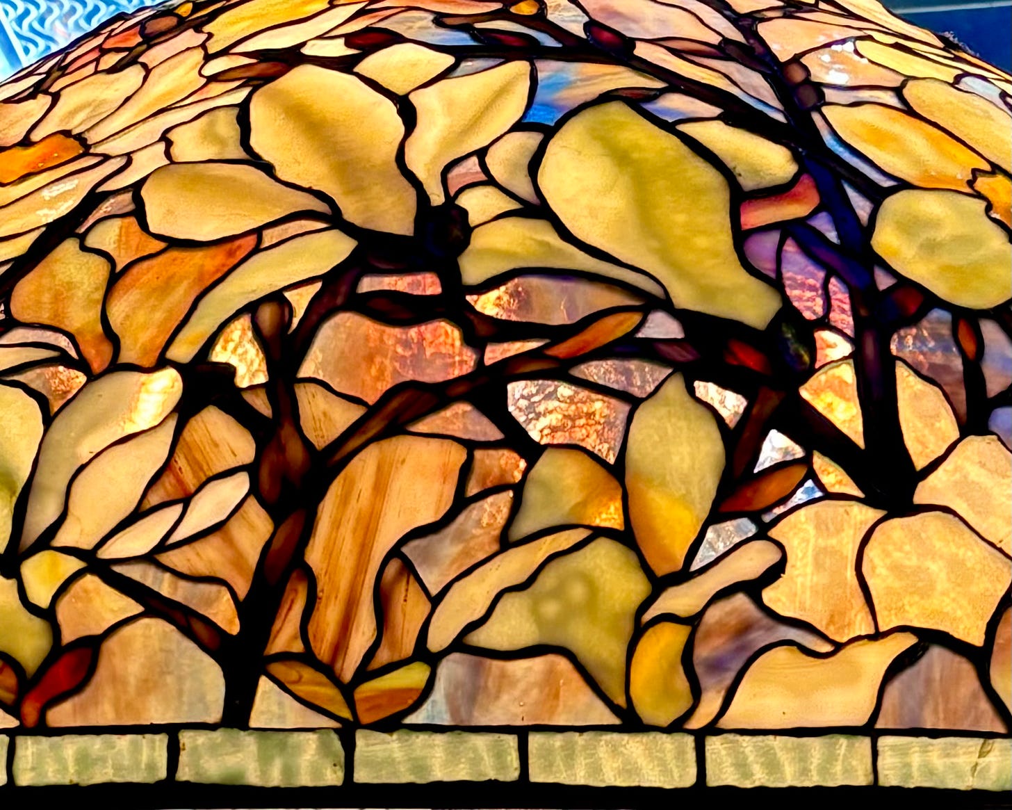 A close-up of a magnolia lampshade.