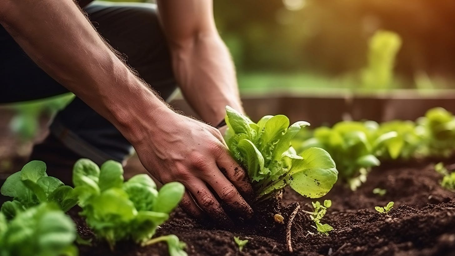 Discover 4 sustainable agriculture practices | Know The Story